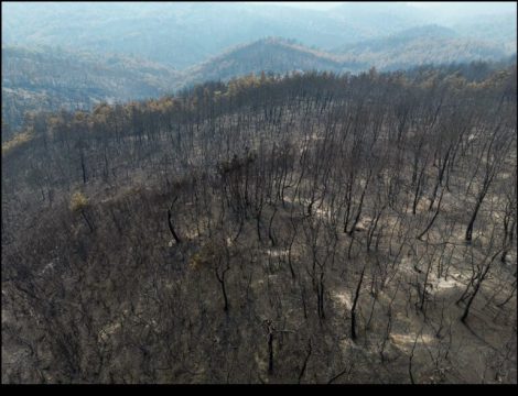 Χρήστος Αγιώτης: Σταθερό το αναγνωστικό κοινό στην Ελλάδα εδώ και 20 χρόνια