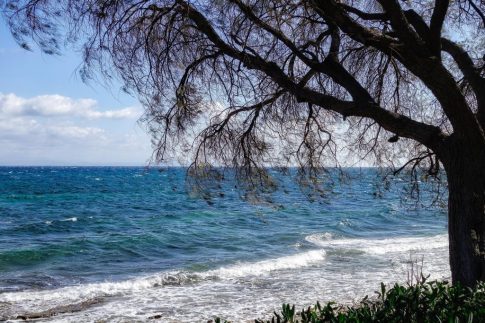 Θεσσαλονίκη: Αποκαταστάθηκε η λειτουργία του μετρό – Κανονικά τα δρομολόγια