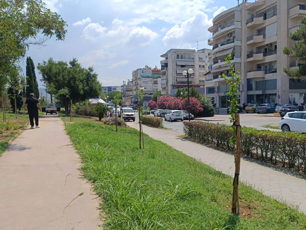 Δήμος Κορδελιού – Ευόσμου: Σε εξέλιξη το πρόγραμμα δενδροφυτεύσεων – Πάνω από 300 δέντρα και θάμνοι φυτεύτηκαν το τελευταίο διάστημα