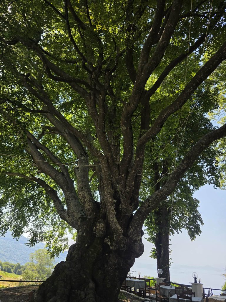 Το Χάνι του Ζήση στέκει 122 χρόνια όρθιο στο πέρασμα του Πηλίου