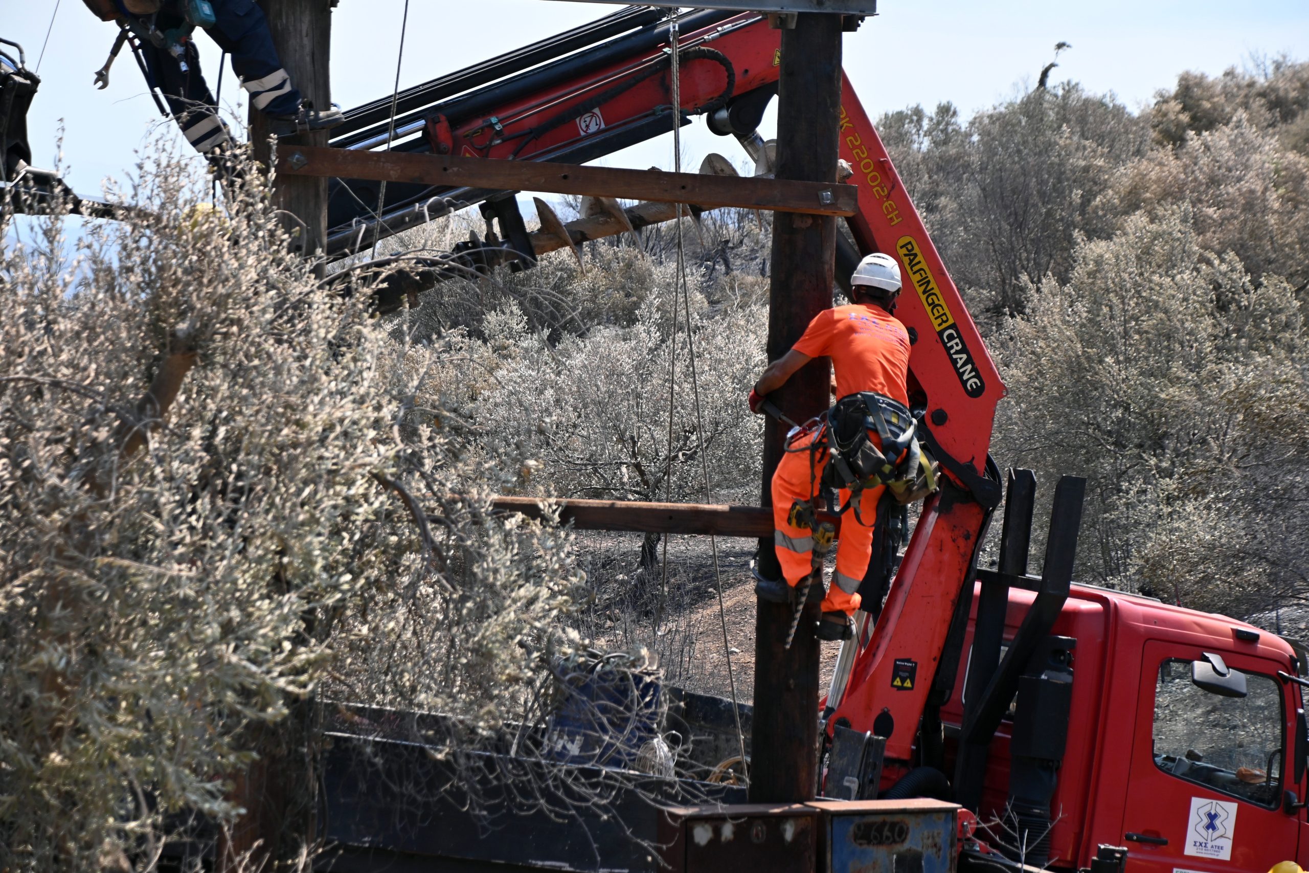 Η επόμενη μέρα της φωτιάς στα Φίχτια Αργολίδας - Ζημιές και προβλήματα υδροδότησης. (Βασίλης Παπαδόπουλος/Eurokinissi) Ένωση Τεχνικών ΔΕΗ: Πρόληψη και στοχευμένες ενέργειες πριν τις πυρκαγιές, θα εκμηδενίσουν θανάτους, τραυματισμούς, οικολογική καταστροφή