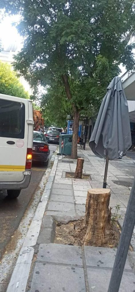 Τρύπες από τρυπάνι βρέθηκαν σε δύο δέντρα που ξεράθηκαν μέσα σε λίγες μέρες– Μήνυση υπέβαλε ο δήμος Θεσσαλονίκης