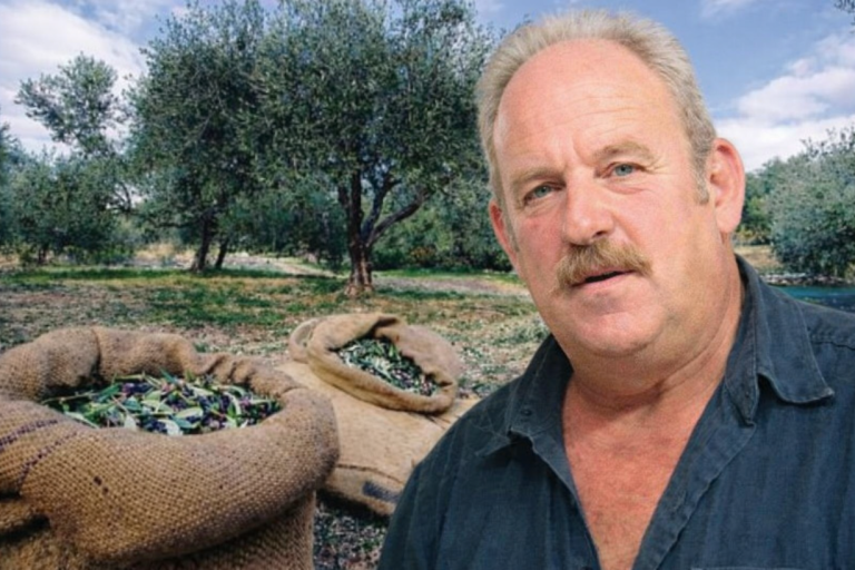 Πρόεδρος Αγροτικού Συνεταιρισμού Πηλίου: Σε εγκατάλειψη η ελαιοκαλλιέργεια στο Πήλιο – Πολύ μειωμένη η φετινή παραγωγή