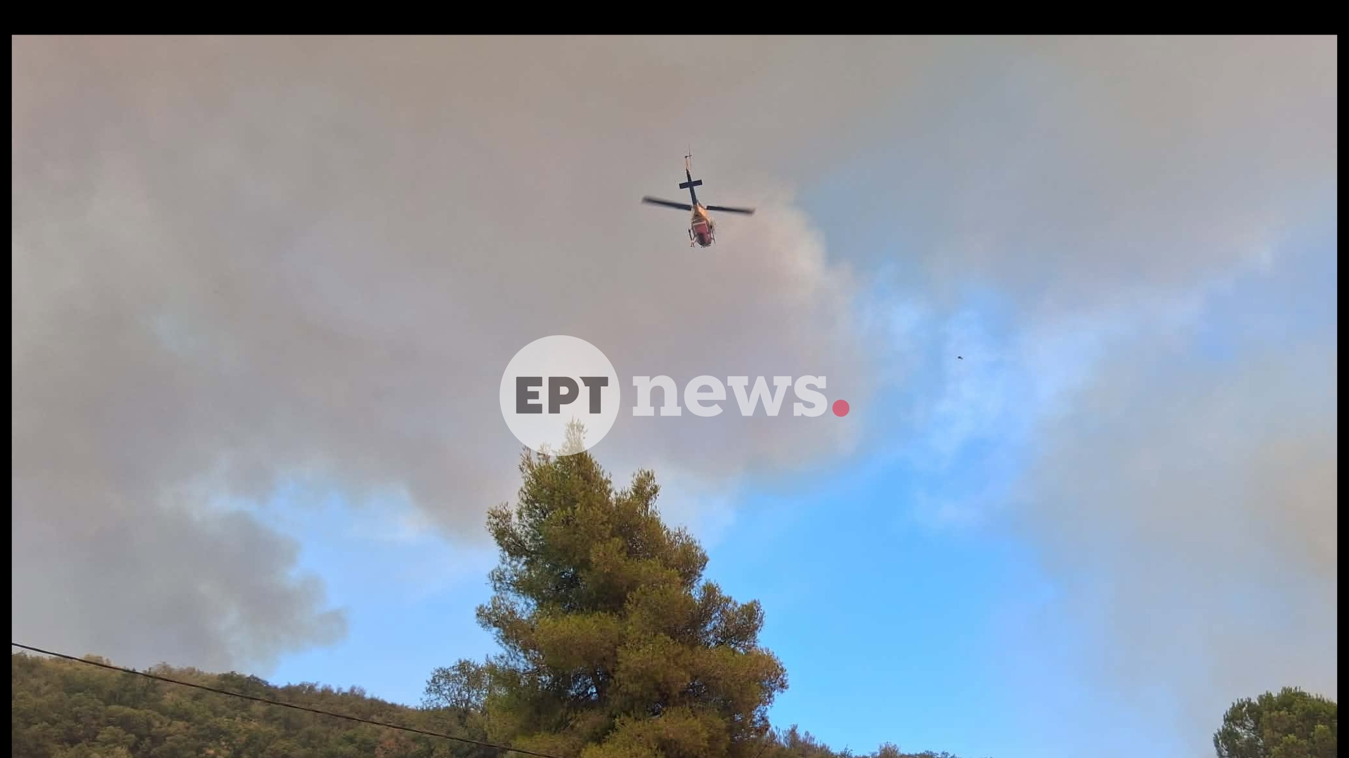 Ανεξέλεγκτη η φωτιά στη Φωκίδα: Στις αυλές των σπιτιών έφτασαν οι φλόγες – Μεγάλη η κινητοποίηση της Πυροσβεστικής