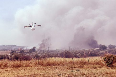 Ένας νεκρός και ένας σοβαρά τραυματίας λόγω ανατροπής φορτηγών στην εθνική οδό Αθηνών-Λαμίας – Διακοπή κυκλοφορίας