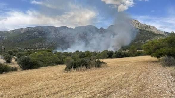 Δράμα: Πυρκαγιά σε δασική έκταση στο Κατάφυτο Νευροκοπίου – Στην κατάσβεση και εναέρια