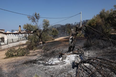 Σαρούκος στην ΕΡΤ Βόλου: Γιατί η Υπηρεσία Τουρισμού λέει «όχι» στις ανεμογεννήτριες στο Νότιο Πήλιο