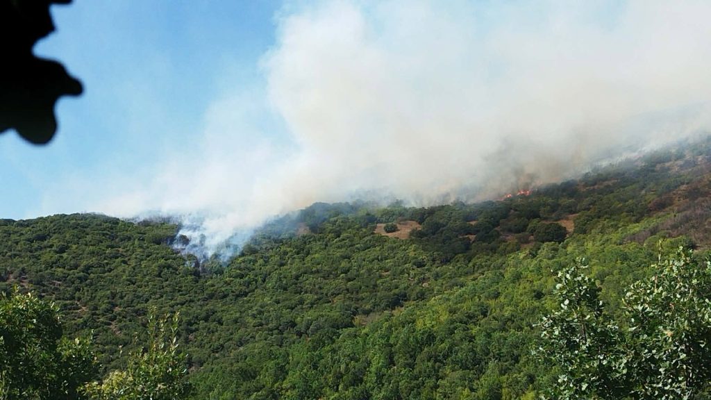 Δασική πυρκαγιά στην Παρασκευή Γρεβενών – Ενισχύθηκαν οι δυνάμεις της Πυροσβεστικής
