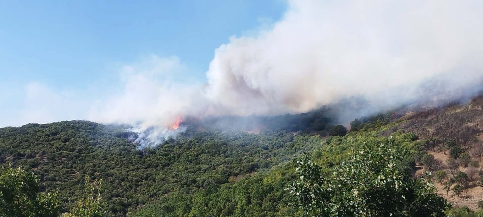 Δασική πυρκαγιά στην Παρασκευή Γρεβενών – Ενισχύθηκαν οι δυνάμεις της Πυροσβεστικής