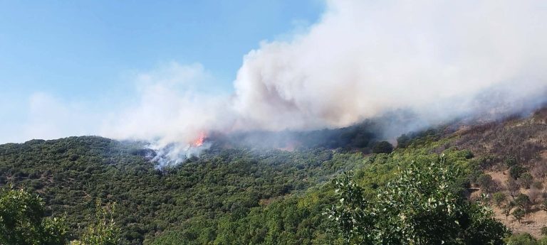 Εύβοια: Ενισχύθηκαν οι δυνάμεις στην πυρκαγιά που εκδηλώθηκε στην Κάρυστο – 112 για απομάκρυνση κατοίκων