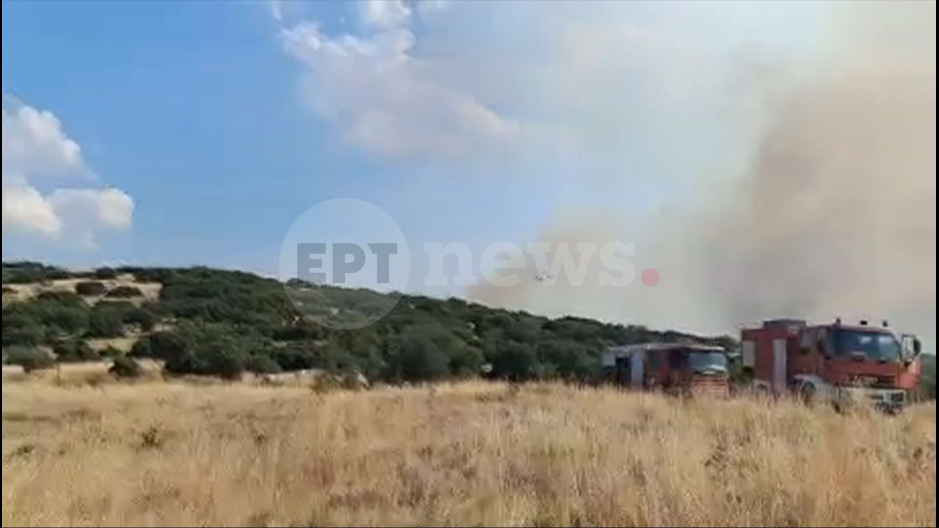 Φωτιά στο Στεφάνι Κορινθίας: Επιχειρούν ισχυρές δυνάμεις – Από φωτοβολταϊκά ξεκίνησε η πυρκαγιά, σύμφωνα με τον αντιδήμαρχο Κορίνθου