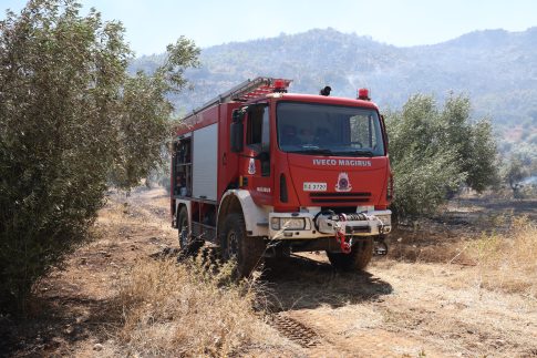 Κεφαλονιά: Συνελήφθησαν δύο αλλοδαποί που έκλεβαν χρυσοχοεία με τη μέθοδο της απασχόλησης