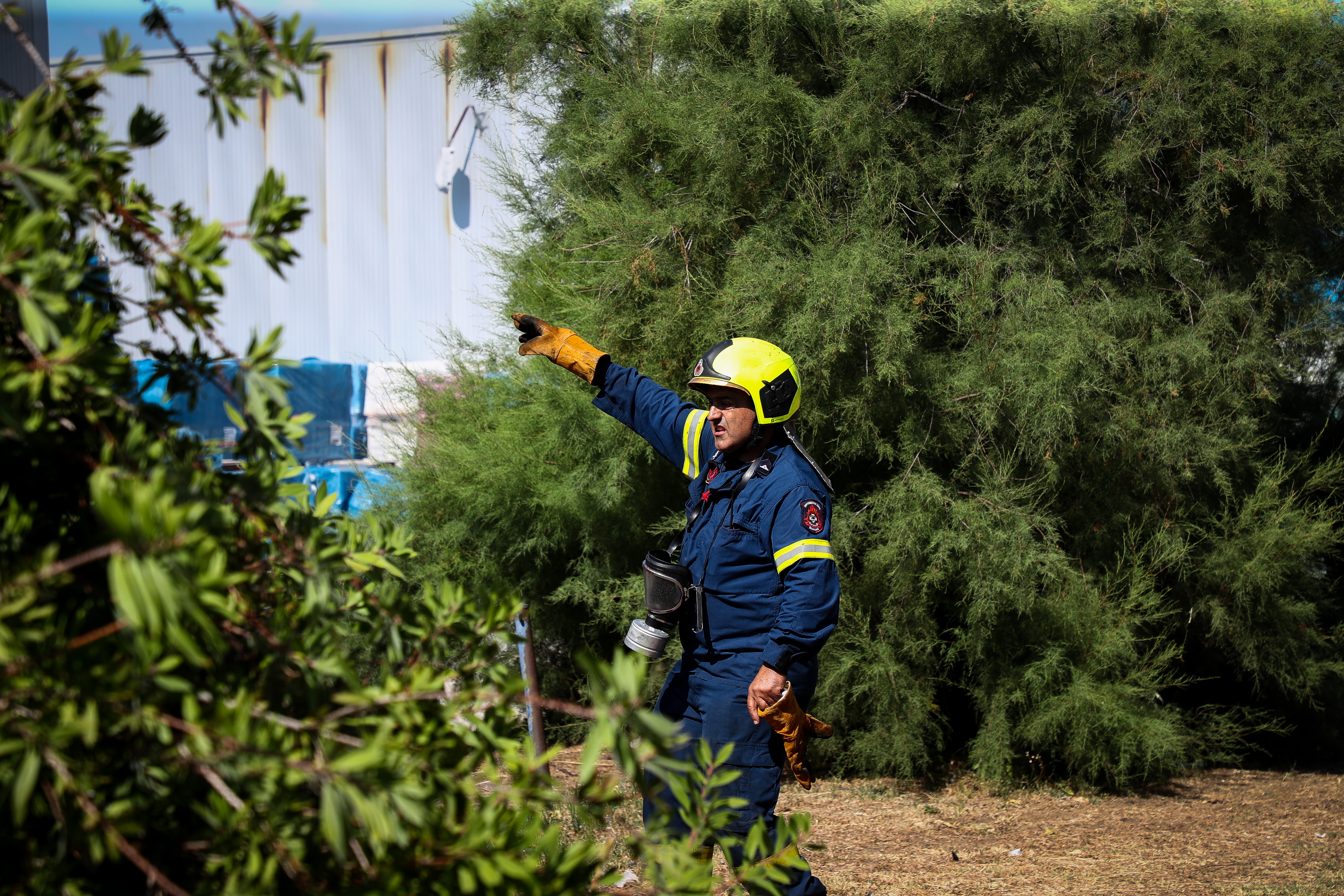 Κατερίνη: Υπό έλεγχο η πυρκαγιά στη Βροντού Πιερίας