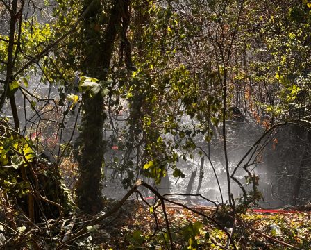 Κέρκυρα: Υψηλός κίνδυνος πυρκαγιάς το Σάββατο – Ευχαριστήριο της Πυροσβεστικής για τη συνδρομή στη φωτιά στο Τεμπλόνι