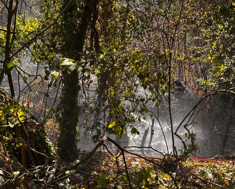 Κέρκυρα: Υψηλός κίνδυνος πυρκαγιάς το Σάββατο – Ευχαριστήριο της Πυροσβεστικής για τη συνδρομή στη φωτιά στο Τεμπλόνι