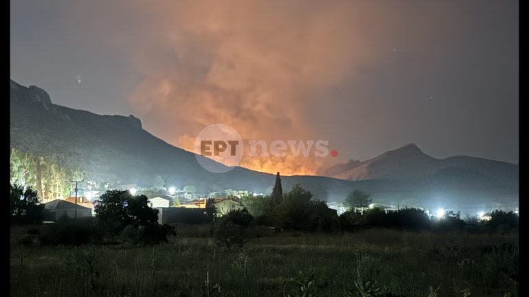 Σε εξέλιξη η πυρκαγιά στον Αγ. Βλάση Βοιωτίας – Ενισχύονται οι επίγειες δυνάμεις της Πυροσβεστικής