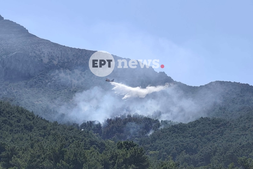 Χίος: Κινητοποίηση για φωτιά στην περιοχή Βίκι – Ήχησε το 112