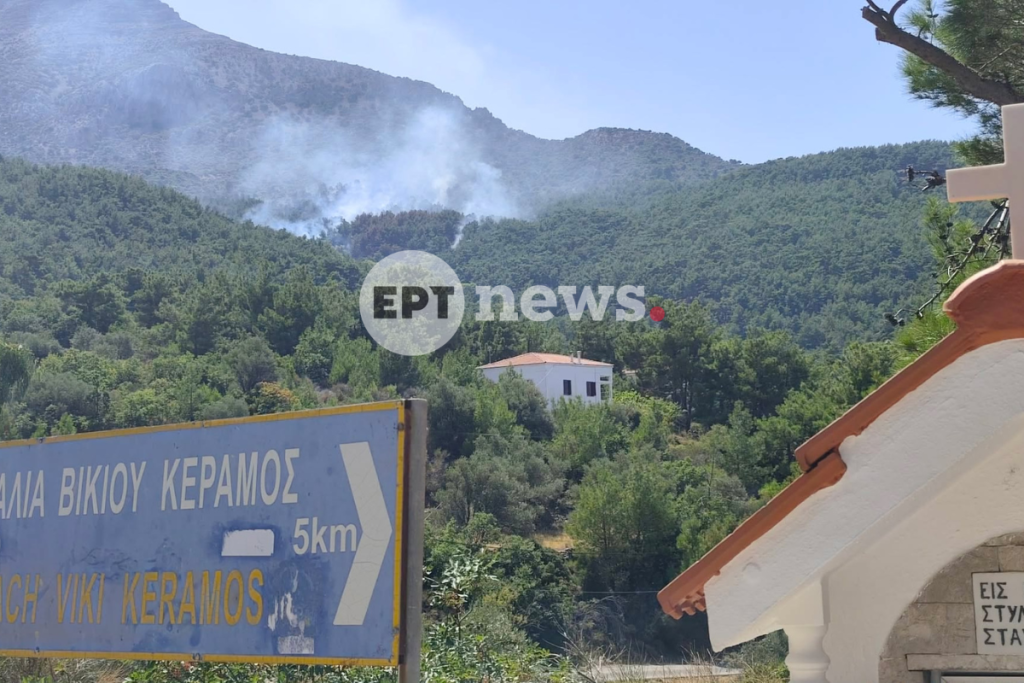 Χίος: Κινητοποίηση για φωτιά στην περιοχή Βίκι – Ήχησε το 112