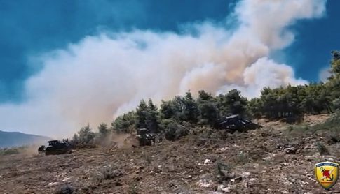 Φωτιά στη Σητεία: Οριοθετημένη και χωρίς ενεργό μέτωπο η πυρκαγιά στο Καρύδι