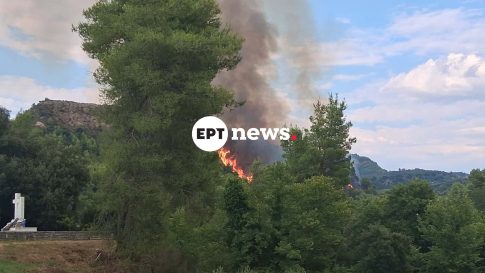 Νέα Υόρκη: 27χρονη και βρέφος 5 μηνών έχασαν τη ζωή τους μετά την ανατροπή σκάφους κοντά στο Νησί της Ελευθερίας