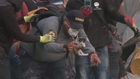 Ρωσία: Δύο τερματικοί σταθμοί εξαγωγής δημητριακών στο λιμάνι του Νοβοροσίσκ διέκοψαν τη λειτουργία τους έπειτα από ουκρανική επίθεση