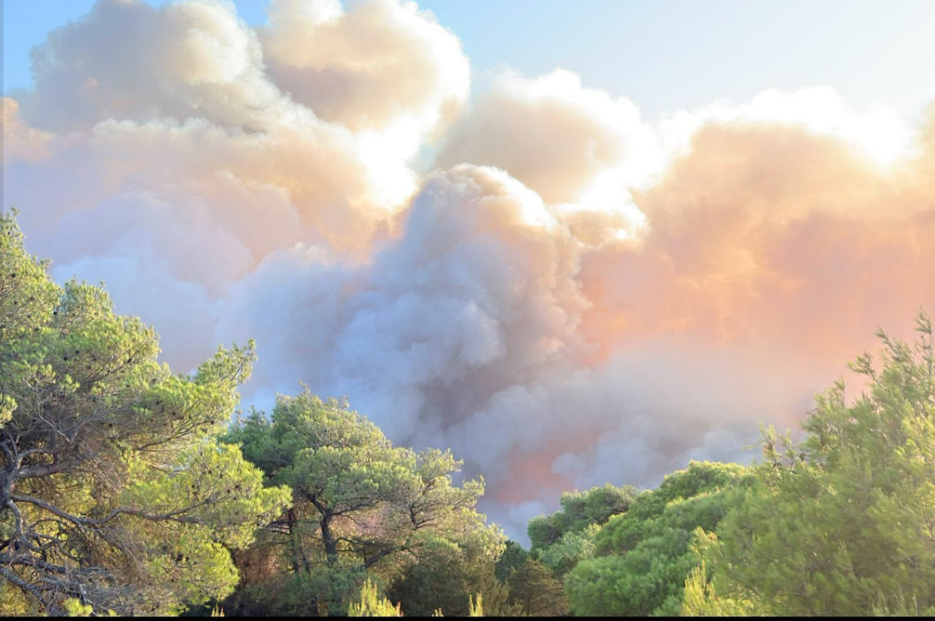 Η επόμενη ημέρα της μεγάλης πυρκαγιάς για την Σκύρο
