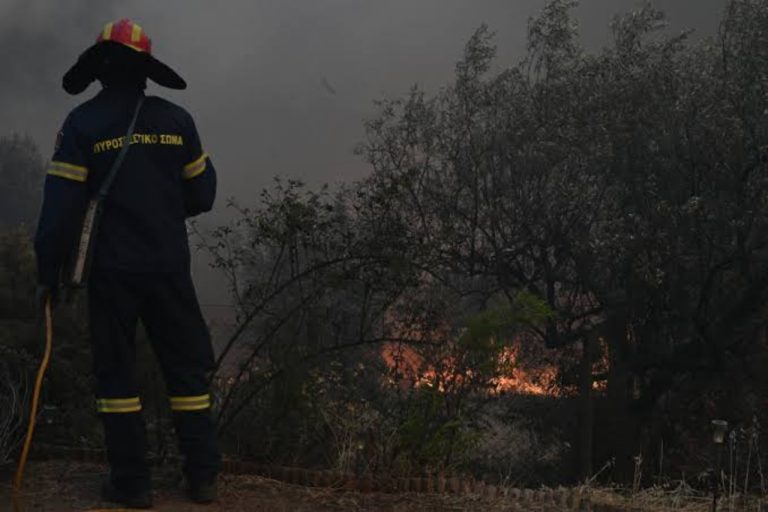 Οριοθετήθηκε η φωτιά στη Μικρή Πάου Αργαλαστής – Στο σημείο παραμένουν όλη τη νύχτα ισχυρές πυροσβεστικές δυνάμεις