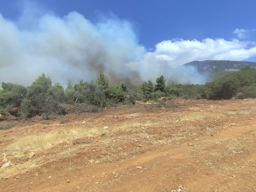 Φωτιά στον Κιθαιρώνα: Κρίσιμες ώρες για τη Βένιζα – Αγωνία να μη φτάσει σε Βίλια και Μέγαρα- Άρχισαν να επιχειρούν και αεροσκάφη
