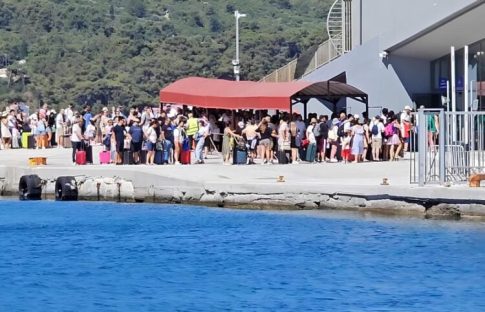Σήμα κινδύνου από τον ΕΟΣ Σάμου: Τα αγριογούρουνα απειλούν τον ιστορικό σαμιακό αμπελώνα