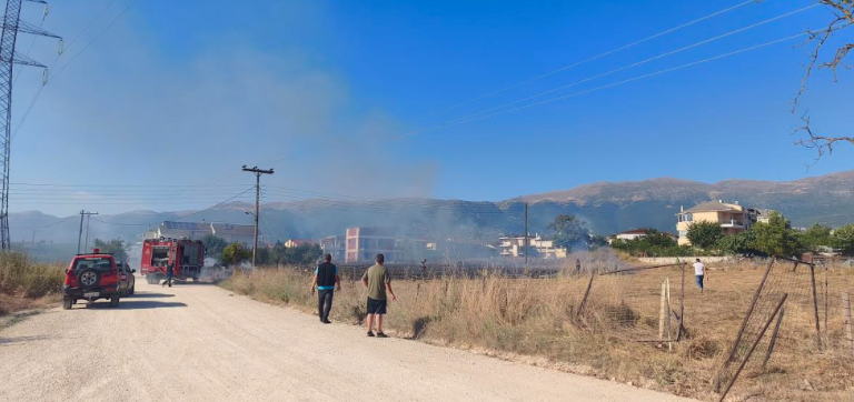 Σύλληψη για εμπρησμό από αμέλεια στα Καρδαμίτσια Ιωαννίνων