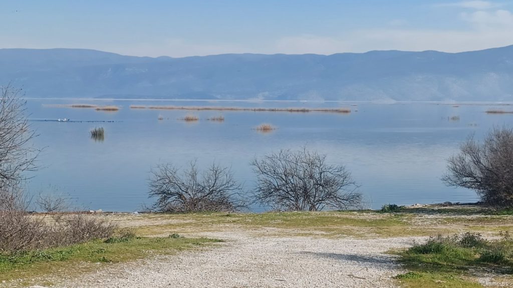 Η Θεσσαλία διεκδικεί να γίνει πεδίο εφαρμογής της εθνικής στρατηγικής για τα ύδατα – Oι προτάσεις για Πηνειό, Καλέντζη, Κάρλα