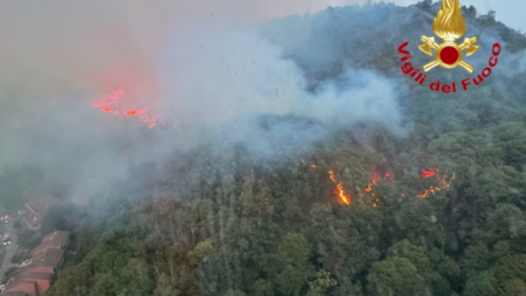 Χρυσό μετάλλιο στο παγκόσμιο πρωτάθλημα ρομποτικής για την ομάδα RoboHeads του Πανεπιστημίου Θεσσαλίας