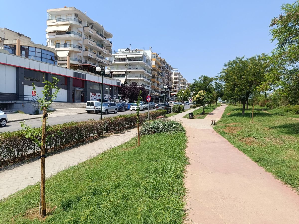 Δήμος Ελευθερίου Κορδελιού – Ευόσμου: Σε εξέλιξη το πρόγραμμα δενδροφυτεύσεων – Πάνω 300 δέντρα και θάμνοι φυτεύτηκαν το τελευταίο διάστημα