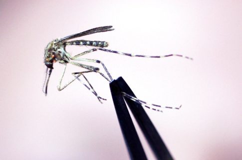 Γάζα: Διεθνείς πιέσεις για το ισραηλινό σχέδιο Ε1 στη Δυτική Όχθη – Η Ελλάδα συνυπέγραψε την καταδίκη του ισραηλινού εποικισμού