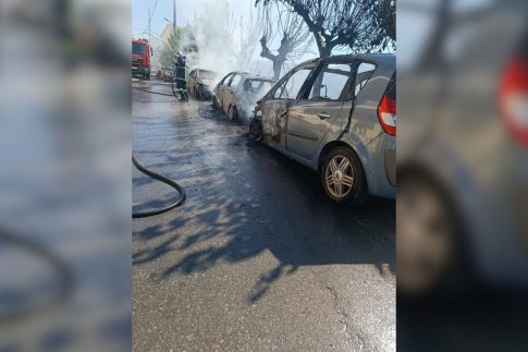ΔΗΜΗΤΡΗΣ ΜΗΤΡΟΠΑΝΟΣ-17 Απριλίου 2012<br>ΝΙΚΟΣ ΠΑΠΑΖΟΓΛΟΥ-17 Απριλίου 2011