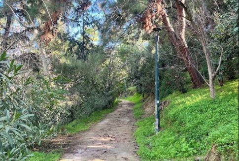 Κομοτηνή: Στο νοσοκομείο ανήλικος μετά από κατανάλωση αλκοόλ – Συνελήφθη η υπάλληλος καταστήματος που του το προμήθευσε