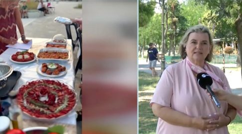 Οι θίασοι που θα διαγωνιστούν στο 41<sup>ο</sup> Πανελλήνιο Φεστιβάλ Ερασιτεχνικού Θεάτρου Καρδίτσας