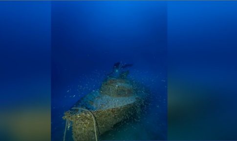 Νταλός, Καθηγητής Δασολογίας στο ΕΡΤnews Radio 105,8: Η φύση μπορεί να αναγεννήσει τα καμένα δάση, αλλά χρειάζεται σωστή παρέμβαση