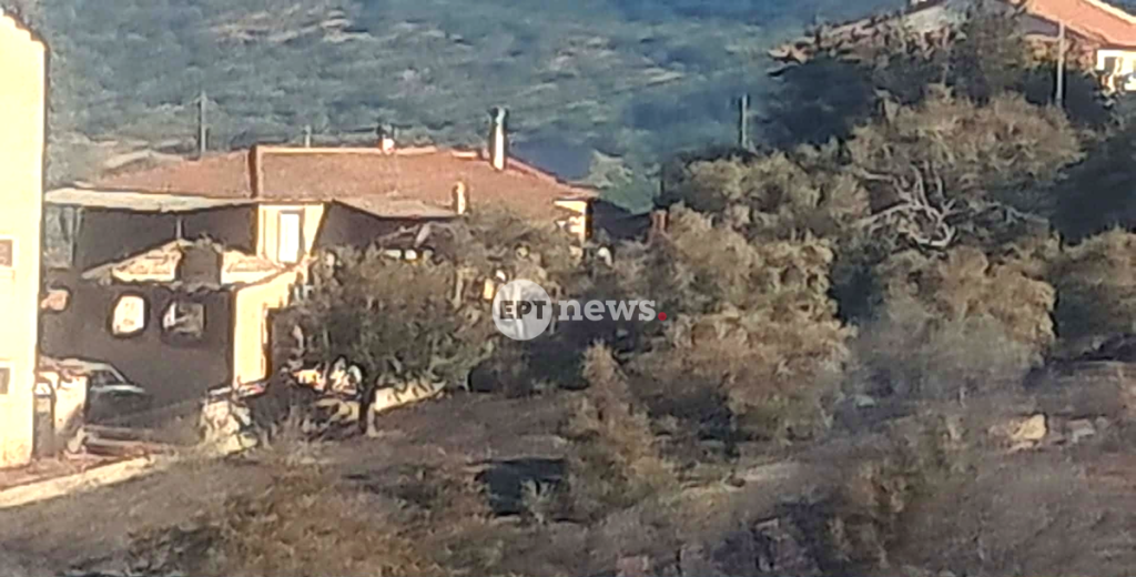 Φωκίδα: Βελτιωμένη η εικόνα της πυρκαγιάς – Ολονύκτια μάχη με αναζωπυρώσεις – Κάηκαν τουλάχιστον δύο σπίτια