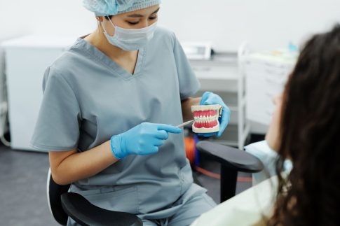Επίθεση αρκούδας σε κτηνοτροφική μονάδα στο Λιβαδερό Σερβίων – Νεκρά 15 αιγοπρόβατα, εκτεταμένες καταστροφές