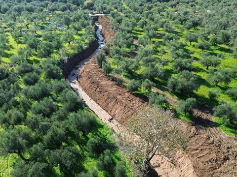 Γιορτή μανταρινιού στο Δρέπανο Αργολίδας