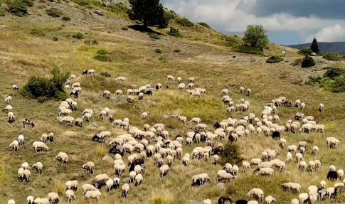 Μικροσκοπικές δίνες ανακαλύφθηκαν για πρώτη φορά στην επιφάνεια του Ήλιου