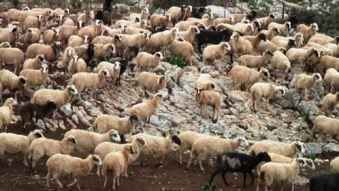 Ουκρανία: Η Μόσχα ανακοίνωσε πλήγματα σε επτά κέντρα logistics και τρία φορτηγά πλοία