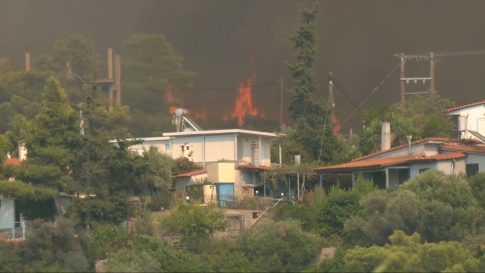 Live streaming: Δείτε το Ευρωπαϊκό Πρωτάθλημα Υγρού Στίβου – Καλλιτεχνική Κολύμβηση (17:00, ΕΡΤ2 ΣΠΟΡ)
