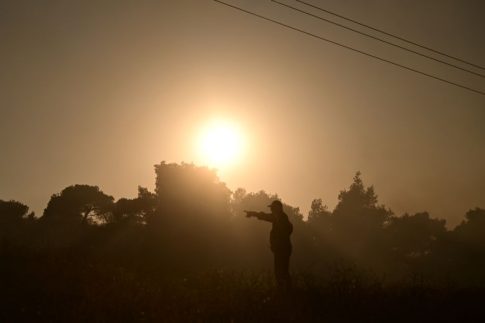 Διαδικτυακή ξενάγηση </br> στο «Μπλε Σπίτι» της Φρίντα Κάλο