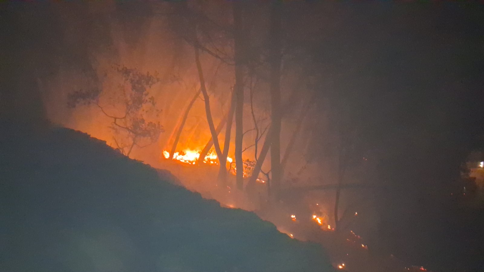 Χωρίς ενεργό μέτωπο η πυρκαγιά στην Αλφειούσα – Ολονύχτια μάχη με τις φλόγες (vid)