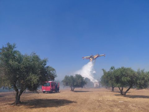 Ηλεία: Σύλληψη υπαλλήλου πρακτορείου ΟΠΑΠ για υπεξαίρεση 22.000 ευρώ