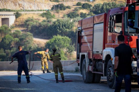 Πρόεδρος Αγροτικού Συνεταιρισμού Πηλίου: Σε εγκατάλειψη η ελαιοκαλλιέργεια στο Πήλιο – Πολύ μειωμένη η φετινή παραγωγή
