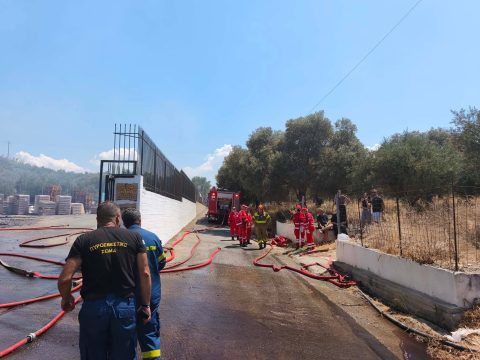 Υπό μερικό έλεγχο η δασική πυρκαγιά στο Νέο Μάζι Μεγάρων – Στάλθηκαν μηνύματα του 112 στους κατοίκους για απομάκρυνση