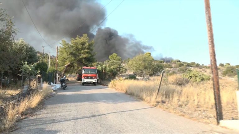 Φωτιά στη Σαλαμίνα: Καίει χαμηλή βλάστηση και απορρίμματα – Μήνυμα εκκένωσης από το 112
